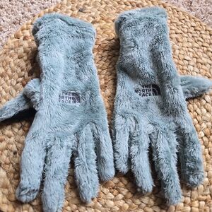 Womens The North Face Plush Osito Blue Green Gloves